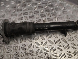 амортизатор задний правый BMW X5 E70 2009, 3.0 л., дизель, АКПП, серый, внедорожник 5 дв.