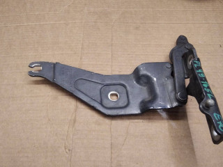 петля капота левая BMW X5 E70 2009, 3.0 л., дизель, АКПП, внедорожник 5 дв., 7208627