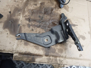 петля капота левая BMW X5 E70 [рестайлинг] 2013, 4.4 л., N63 B44 A, бензин, 7208627