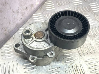 натяжитель BMW X5 E53 2002, 3.0 л., бензин, F-230207