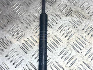 амортизатор капота BMW 7 серия G11/G12 [рестайлинг] 2021, 7347403