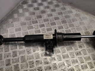 амортизатор передний левый BMW 2011, 6798153