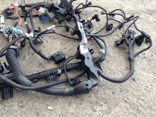 проводка двигателя BMW 3 серия E90/E91/E92/E93 2007, 2.0 л., N47 D20 A, дизель, АКПП, универсал