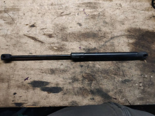 амортизатор капота BMW X5 E70 2007, 4.8 л., N62 B48 A, бензин