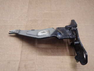 петля капота правая BMW X5 E70 2009, 3.0 л., дизель, АКПП, внедорожник 5 дв., 7208628