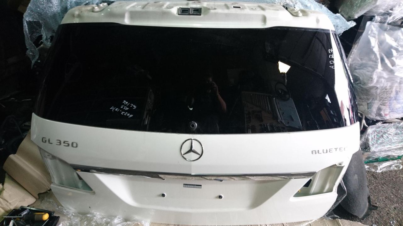 подсветка номера Mercedes-Benz GL-Класс X166 2014, 3.0 л., OM 642.826, дизель, АКПП, белый, внедорожник 5 дв. - фото №1