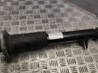 амортизатор задний правый BMW X6 E71/E72 2011, 3.0 л., N57 D30 A, дизель, АКПП, внедорожник 5 дв., 6788512