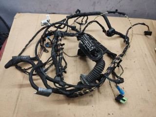 дверная проводка BMW 7 серия F01/F02 2011, 4.4 л., N63 B44 A, бензин, АКПП, черный, 9212165