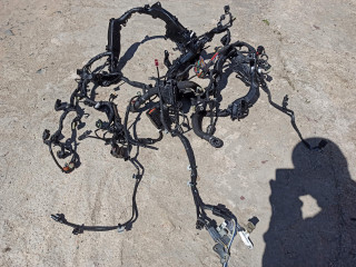 проводка двигателя Mercedes-Benz S-Класс W222 [рестайлинг] 2020, 4.0 л., M 176.980, бензин