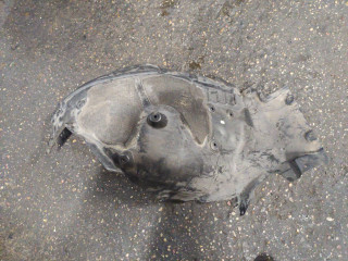 защита арок (подкрылок) BMW 7 серия G11/G12 2017, 3.0 л., дизель, 7340202