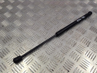 амортизатор капота BMW X5 E70 2008, 4.8 л., N62 B48 B, бензин, АКПП, черный, внедорожник 5 дв.