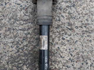 амортизатор задний левый BMW X5 E70 2009, 4.8 л., N62 B48 A, бензин, АКПП, внедорожник 5 дв.