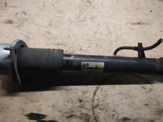 амортизатор задний левый BMW X5 E70 2007, 3.0 л., дизель, АКПП, 6780497