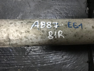 амортизатор задний правый BMW 5 серия E60/E61 2006, 3.0 л., дизель, АКПП, универсал, 7905334, 33527905334