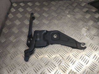 петля капота левая BMW X5 M E70 2010, 4.4 л., S63 B44 A, бензин, правый руль, 7208627