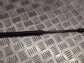 амортизатор капота BMW X5 E70 2007, 3.0 л., N52 B30 AF, бензин, АКПП