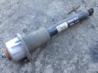 амортизатор задний левый BMW X5 E70 2007, 3.0 л., дизель, АКПП, внедорожник 5 дв., 6751923