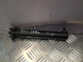 Амортизатор заднего борта BMW X5 E70 2008, 3.0 л., N52 B30 AF, бензин, АКПП, внедорожник 5 дв.