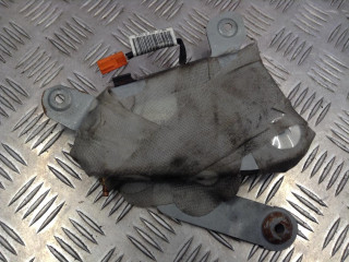 подушка безопасности дверная BMW 5 серия E39 1999, 2.5 л., дизель, АКПП, универсал, 8268331