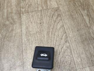 ручка открывания капота Hyundai Terracan 1 поколение 2004, 2.9 л., дизель, АКПП, внедорожник 5 дв.