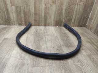 уплотнитель подкапотного пространства Renault Sandero 2 поколение 2015, 1.2 л., D4F 732, бензин, МКПП, хетчбэк 5 дв.