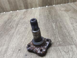 цапфа задняя Renault Logan 2 поколение [рестайлинг] 2018, 1.6 л., H4M 738, бензин, МКПП, седан