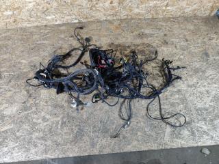 проводка двигателя Lada Vesta 1 поколение 2021, 1.6 л., бензин, МКПП, универсал, 8450033633