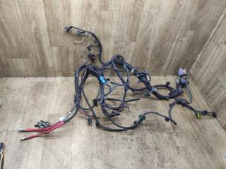 проводка двигателя Renault Kangoo 2 поколение 2013, 1.6 л., K4M 830, бензин, МКПП, минивэн, 8200924052