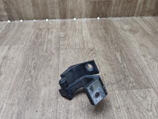 петля двери Volkswagen Transporter T5 2006, 2.5 л., AXD, дизель, МКПП, микроавтобус