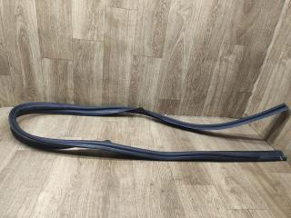 уплотнитель двери Renault Sandero 2 поколение 2015, 1.2 л., D4F 732, бензин, МКПП, хетчбэк 5 дв.