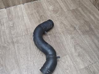 патрубок радиатора Toyota Picnic 1 поколение XM10 2000, 2.2 л., 3C-T, дизель, МКПП, минивэн