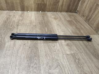 амортизатор крышки багажника (3-5 двери) Renault Sandero 2 поколение 2015, 1.2 л., D4F 732, бензин, МКПП, хетчбэк 5 дв., 904529943R