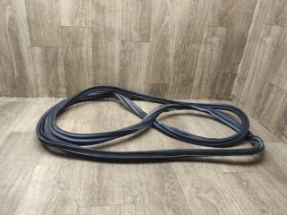 уплотнитель Opel Zafira 2 поколение (B) [рестайлинг] 2008, 1.6 л., Z 16 XE, бензин, МКПП, минивэн, 13241419