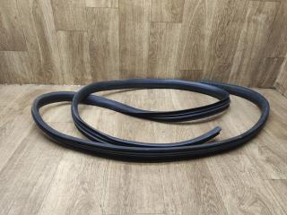 уплотнитель двери Renault Sandero 2 поколение 2015, 1.2 л., D4F 732, бензин, МКПП, хетчбэк 5 дв.