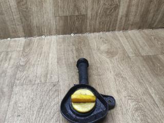 маслозаливная горловина Renault Sandero 2 поколение 2015, 1.2 л., D4F 732, бензин, МКПП, хетчбэк 5 дв.