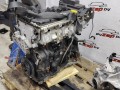 двигатель Volkswagen Atlas Cross Sport 1 поколение 2021, 3.6 л., бензин, АКПП, белый, внедорожник 5 дв., полный привод, CDV296755 - фото №5