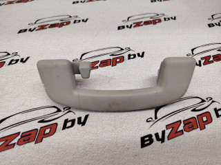 ручка внутренняя потолочная Volkswagen Tiguan Allspace 1 поколение [рестайлинг] 2023, 2.0 л., бензин, АКПП, синий, внедорожник 5 дв., полный привод