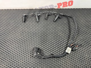 проводка двигателя BMW 5 серия E60/E61 [рестайлинг] E60 2008, 2.0 л., N47 D20 A, дизель, АКПП, 354 titansilber metallic, седан, правый руль, 12517794242