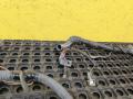 проводка двигателя Renault Master 2 поколение (1998 - 2003), 2.2 л., G9T 720, дизель - фото №8
