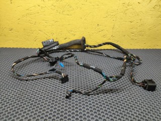 дверная проводка BMW 3 серия E90/E91/E92/E93 2006, 2.0 л., N46 B20 B, бензин, МКПП, седан, 6938210