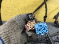 проводка Audi TT 8N 1999, 1.8 л., APX, бензин, МКПП, купе - фото №3