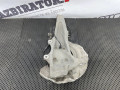 кулак поворотный левый BMW 5 серия F07/F10/F11 F11 2010, 3.0 л., N57 D30 A, дизель, АКПП, универсал, 31216775769 - фото №7