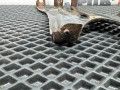 кронштейн переднего бампера Mercedes-Benz C-Класс W203/S203/CL203 CL203.747 2001, 2.3 л., M 111.981, бензин, АКПП, 345, купе, задний привод, A2036200885 - фото №5