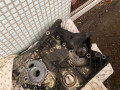 головка блока цилиндров Mercedes-Benz C-Класс W204/S204 2009, M271 - фото №5