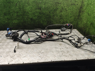 проводка двигателя Lada Vesta 1 поколение 2023, 1.6 л., бензин, МКПП, седан, 8450043415