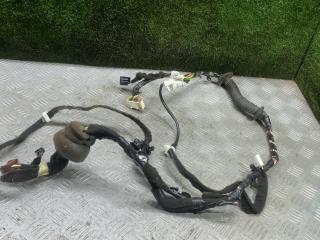 дверная проводка Renault Duster 1 поколение [рестайлинг] 2017, 2.0 л., бензин, МКПП, внедорожник 5 дв., полный привод, 241241055R