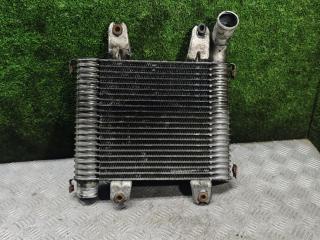 интеркулер Kia Carnival 1 поколение [рестайлинг] 2005, 2.9 л., CRDi, дизель, МКПП, минивэн