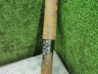 амортизатор задний правый Renault Laguna 1 поколение [рестайлинг] 1999, 1.8 л., бензин, МКПП, хетчбэк 5 дв.