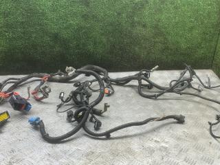 проводка двигателя Renault Duster 1 поколение [рестайлинг] 2017, 2.0 л., бензин, МКПП, внедорожник 5 дв., полный привод, 240118238R