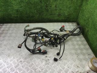 проводка двигателя Peugeot 406 1 поколение [рестайлинг] 2000, 1.8 л., бензин, МКПП, седан